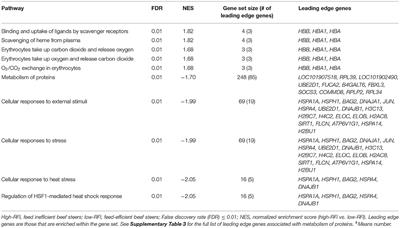 Identification of Key Pathways Associated With Residual Feed Intake of Beef Cattle Based on Whole Blood Transcriptome Data Analyzed Using Gene Set Enrichment Analysis